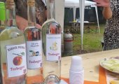 Trebušovce » Udalosti » Spoločný deň obce Mátramindszent (HU)